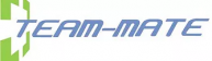 Team-Mate Consultores